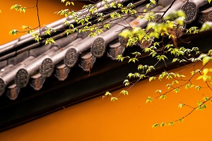 普通專(zhuān)升本備考的第一步是先擇校還是先選專(zhuān)業(yè)？