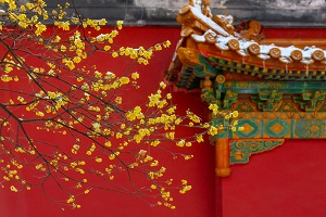 全日制普通專升本和本科有區(qū)別嗎？哪些地方是不同的？