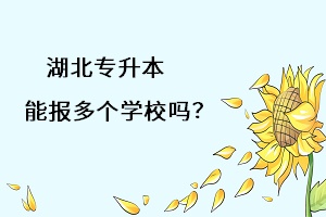 湖北專升本能報多個學習嗎？