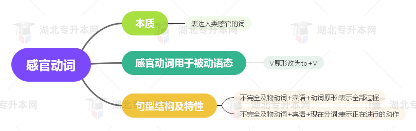 普通專升本英語要掌握多少種語法？25張思維導(dǎo)圖教會(huì)你！